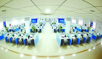 深化闽台优势，福建争享服务外包大蛋糕——聚焦金融外包服务